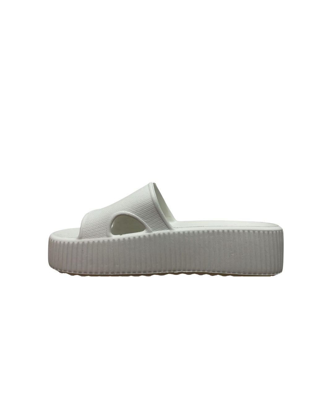 975a13c586bcc4f22fd4141926361f89.jpg Slide E.V.A Plataforma ActVitta - Imagem 4