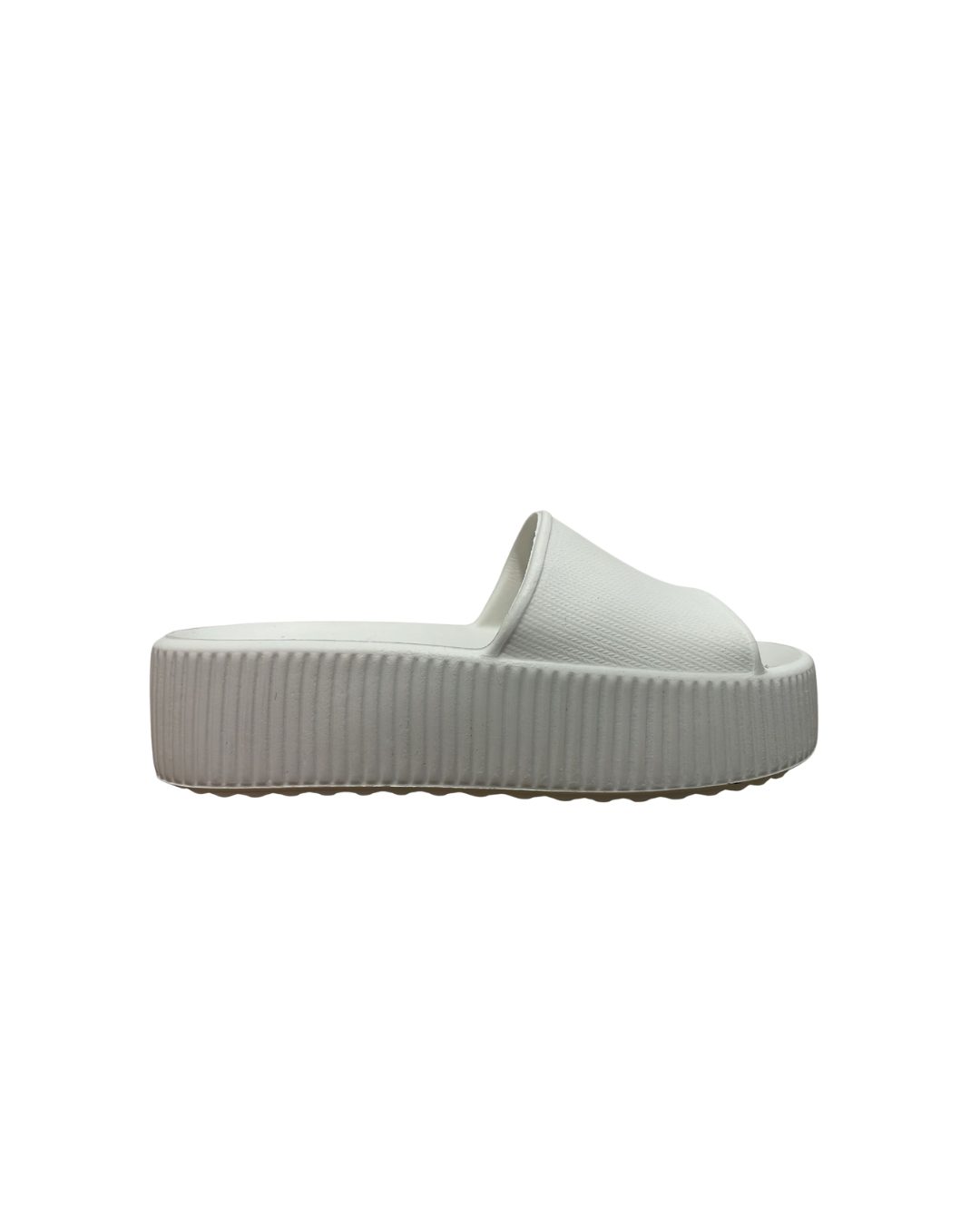 c00cb2631eb97c08d5b360d305423d2d.jpg Slide E.V.A Plataforma ActVitta - Imagem 3